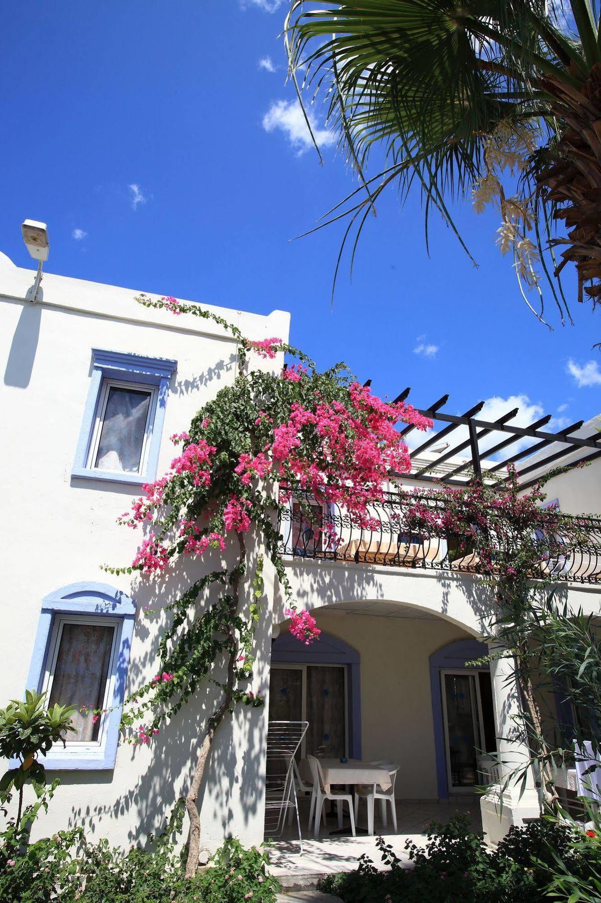 Club Paloma Apartment Гумбет Экстерьер фото
